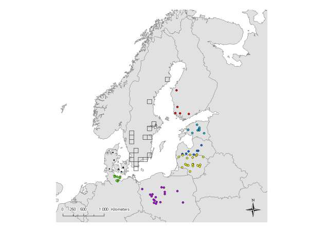 Miten maatalouden ravinnepäästöjä mitataan? Mittauksia tehdään peltolohko-, pienen valuma-alueen ja ison jokivaluma-alueen mittakaavassa.