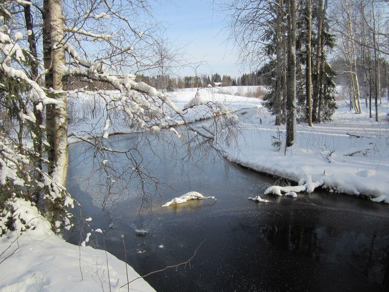 Karhejärvestä