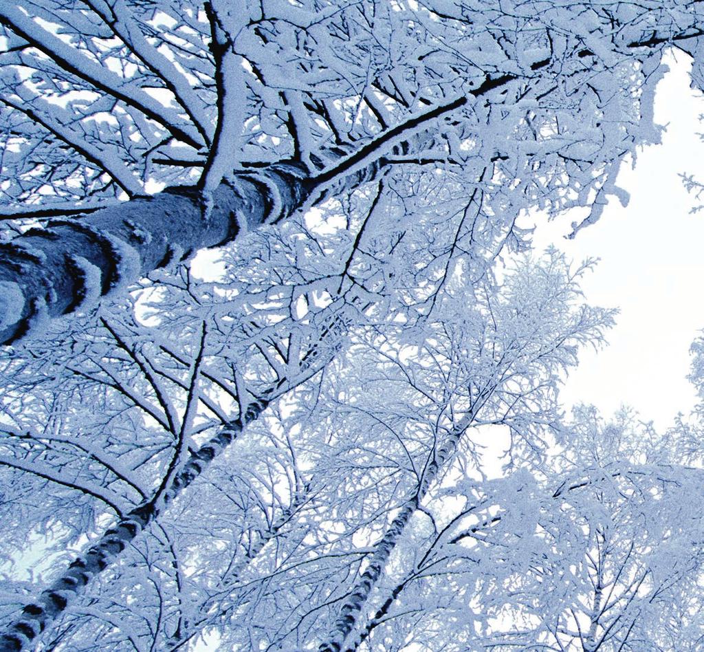 TILINPÄÄTÖS 2016 Metsä Boardin kartonkitoimitukset kasvoivat 12 prosenttia vuonna 2016. Liikevaihto laski suunnitellusti vähentyneen paperiliiketoiminnan johdosta.