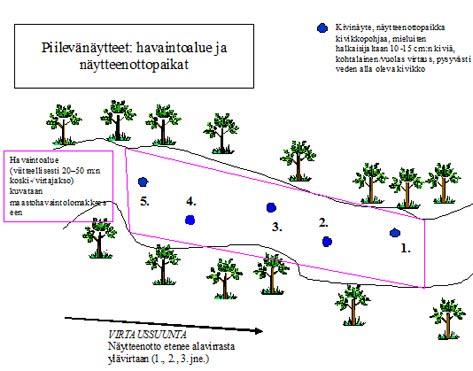 Kuva 1. Piilevänäytteenotto perusseurannan koskipaikoilta Näytteet toimitetaan alueellisesta ELY-keskuksesta konsultille, jolta piilevänäytteiden käsittely ja määritys ostetaan.