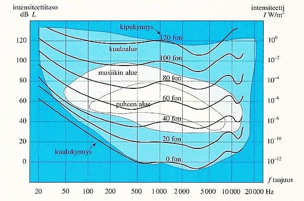Kuva 3. Ihmisen kuuloalue ja äänekkyystason käyriä. Ihminen kuulee samalla käyrällä olevat äänet yhtä voimakkaina.