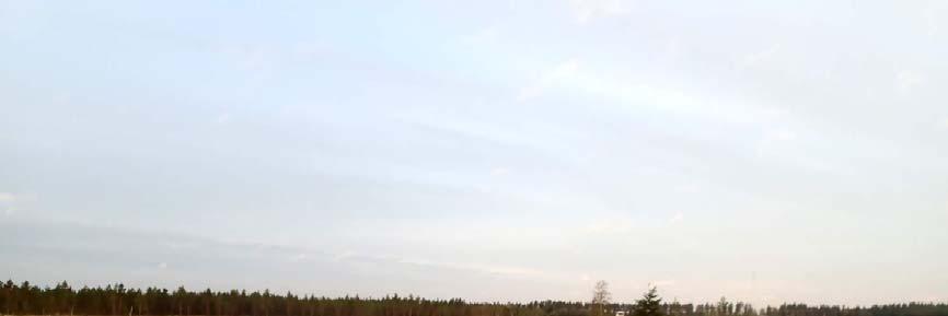 Silvestris luontoselvitys oy: Joupinkangas linnustoselvitys 2013 14 (41) Haarapääsky (Hirundo rustica). Kaksi haarapääskyä havaittiin matalalla matkalennossa. Tilhi (Bombycilla garrulus).