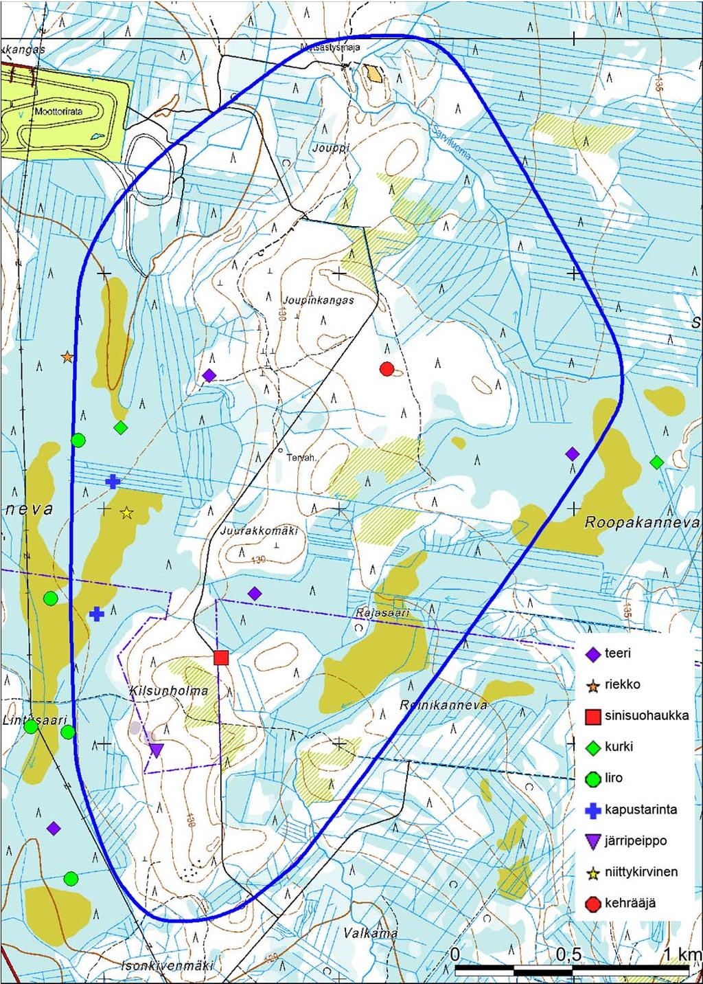 Silvestris luontoselvitys oy: Joupinkangas linnustoselvitys 2013