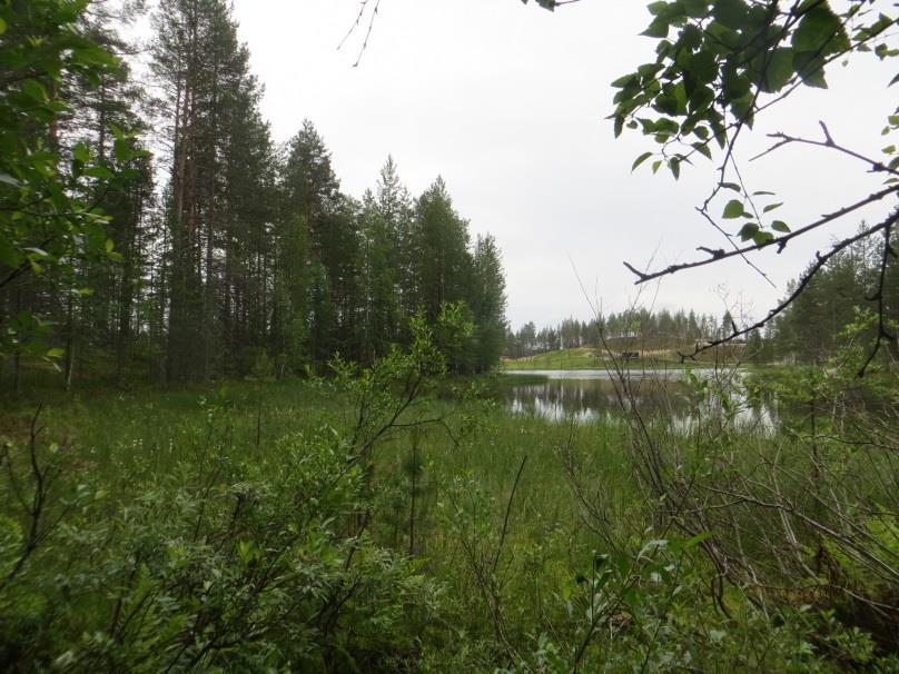 8 ARVOKKAAT LUONTOKOHTEET JA LAJISTO Arvokkaita luontokohteita ovat luonnonsuojelulain (29 ), vesilain (11 ) ja metsälain (10 ) mukaiset luontotyypit, Suomen uhanalaiset luontotyypit (Raunio ym.