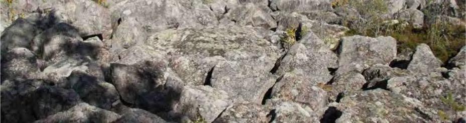 Jokseenkin yhtenäisiä kivikoita esiintyy Jäkälänevan lounaispuolisella vyöhykkeellä noin 100 hehtaaria. Muinaisrantakivikoita eli ns.