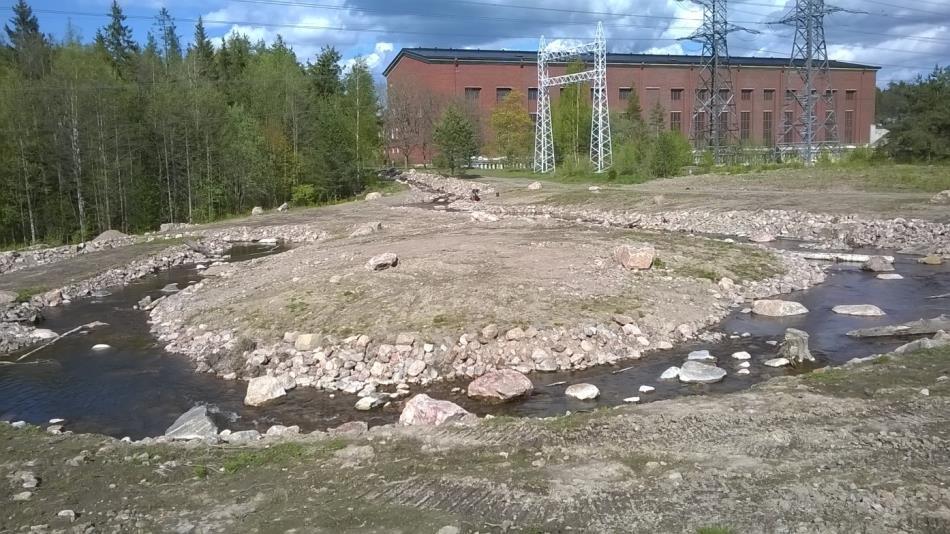 Iijoen tuotantomahdollisuuksista Jukka