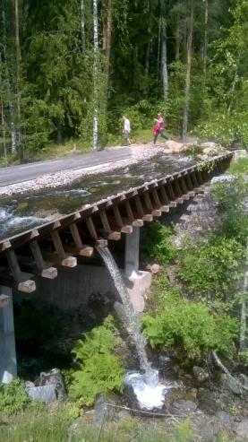 mutkikkaalla habitaattiosuudella