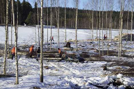 4.3 Kosteikon rakennusvaiheet Mallikosteikon rakentamisen ohjauksesta ja suunnittelusta vastasivat POKE:n koulutusjohtaja Pekka Janhonen ja projektityöntekijä Pertti Hokkanen.