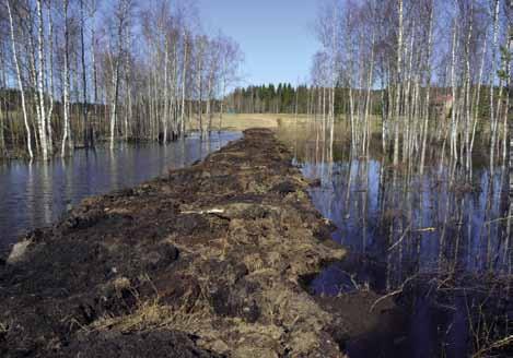 5 Kosteikon hoito ja kunnossapito Mallikosteikon hoidosta tullaan tekemään kosteikon hoidon erityisympäristötukisopimus 5 tai 10 vuodeksi.