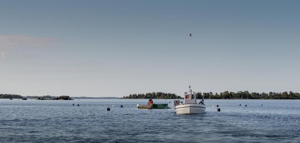 KALATALOUDEN TIEDOTUSHANKE Selkämeren ja Pyhäjärven kalatalousryhmän tiedotushanke Kalatalouteen liittyvät asiat kiinnostavat niin mediaa kuin kansalaisiakin.