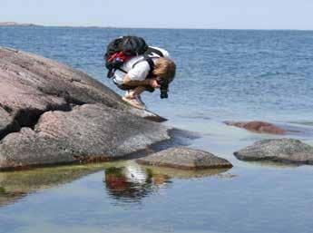 Veden alla meri- ja murtovesieliöt elävät rinnan makean veden lajien kanssa ja muodostavat Itämerelle tyypillisen ekosysteemin.