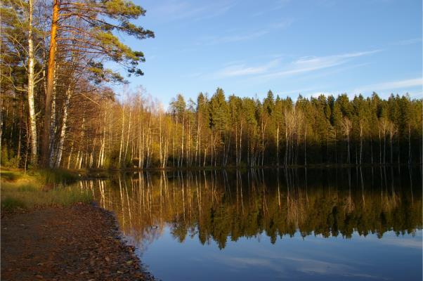 tarvetarkastelu