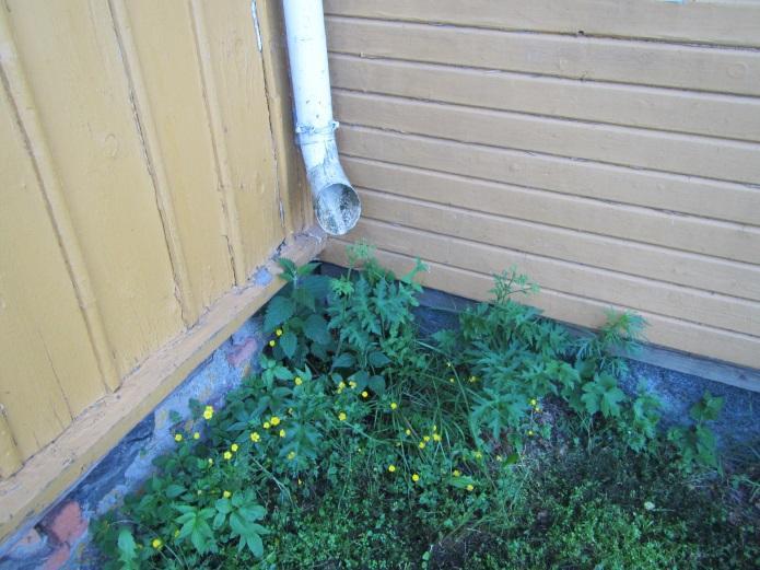 Etenkin rankarakenteisen osan alapohja on kauttaaltaan n. 20cm ympäröivää maapintaa alempana. Rakennuksen joen puoleisella sivulla seinän vierustalla on suuri ruusupensas.
