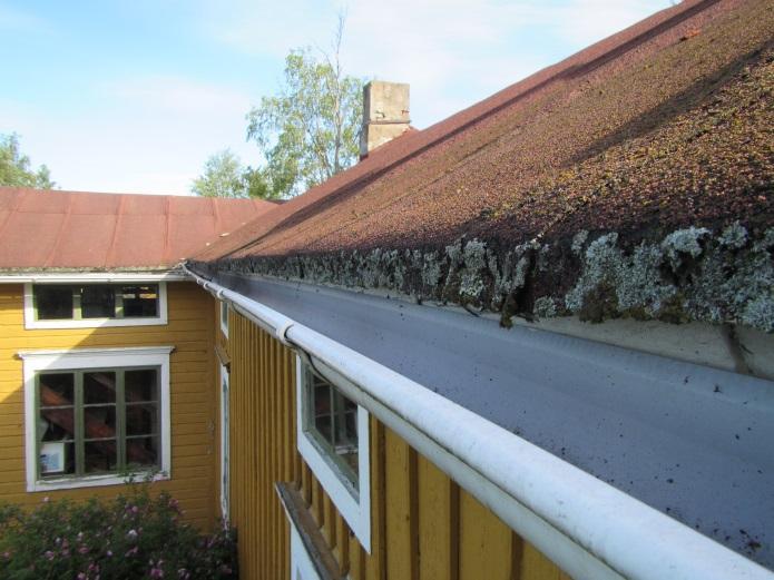 Todennäköistä on että sammaloituneilla kohdilla katteessa on reikiä mutta kate ei vuoda sammaleen ollessa paikoillaan. Sammalta ei suositella poistaa vaan kate uusia kokonaisuudessaan.