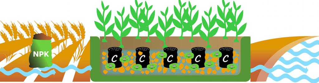 PAJUPUHDISTAMO by Pajupojat Oy Suodattimessa puuhaketta ja biohiiltä (biochar) Biohiileen ympätään valitut mikrobit, bakteerit ja mykorritsat Mykorritsat parantavat kasvien fosfaatin ottoa maaperästä