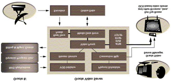 4 Oracle Video Server Verkko Verkon pitää tukea multimedian siirtoa: + Quality of Service (QoS) + reaaliaikaiset mediavirrat + skaalautuvuus Mediavirtoja varten on varattava tietyt resurssit +ATM QoS