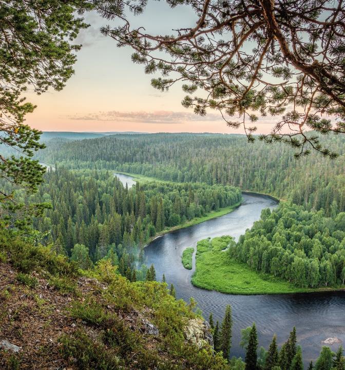 Nuku yö ulkona 17.6.