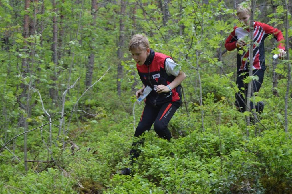 2. Ohjausryhmä - Jatkoryhmä muutaman vuoden suunnistaneille lapsille, jotka pystyvät suoraan suunnistukseen. - Ohjauksen pääpaino: perustaitojen kehittäminen ja syventäminen, kilpailuissa toimiminen.