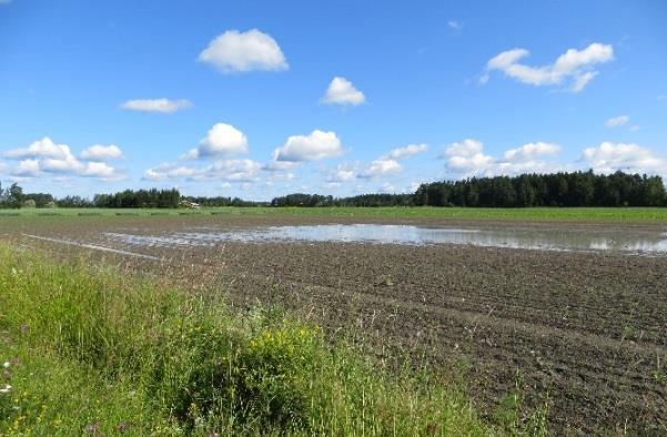 Alueen viljelijöille ja maatalousyrittäjille tarjotaan uusia