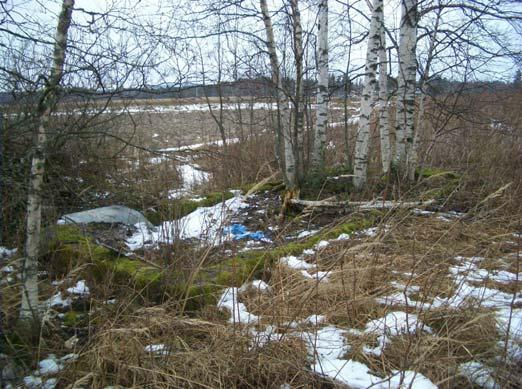 selviksi niiden muinaisjäännösstatuksen selvittäminen vaatinee (tarvittaessa) tarkempia tutkimuksia. Alueen pohjoislaidalla, tien varrella on pusikkoinen saareke pellon keskellä.