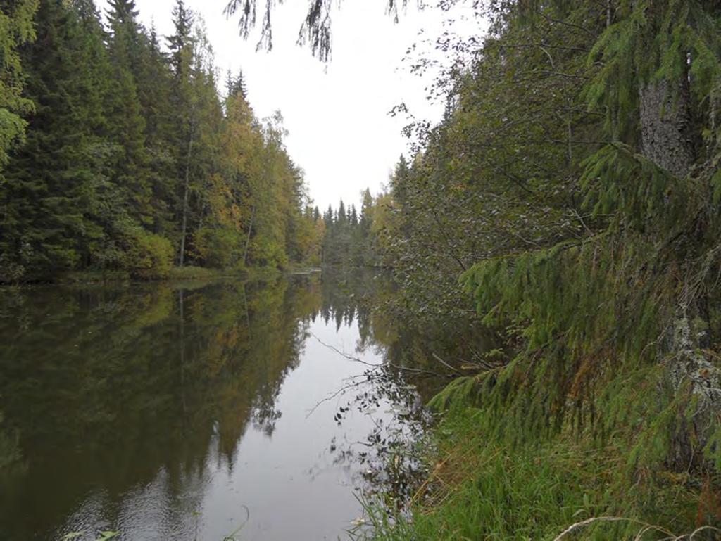 Rautjärven kunta