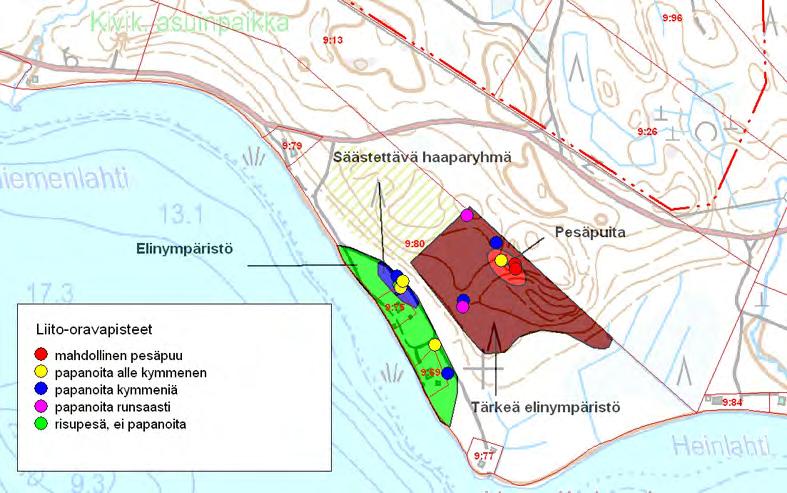 Kuva 47. Alueelta löytyneet liito-orava havainnot. Myös tontilla 9:75 sekä sen itä- ja eteläpuolella esiintyy yleisesti haapaa (läpimitta rinnankorkeudelta yleisimmin 5-20 cm).