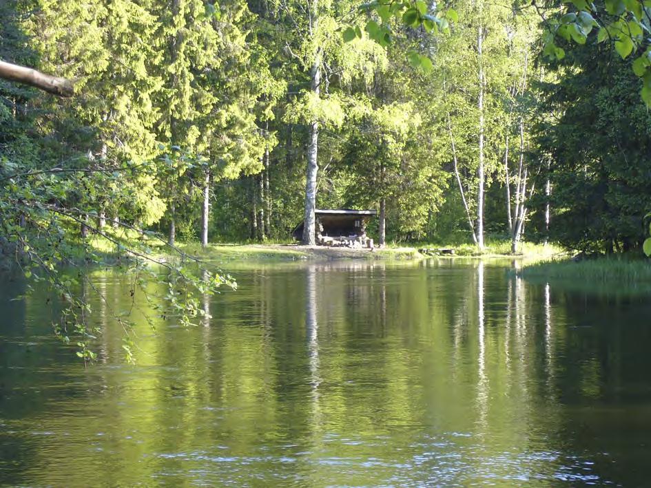 Kuva 68. Kangaskosken laavu. 5.1.
