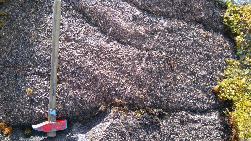 3.1.3 Porfyyrinen graniitti Kartan keskiosissa on n. 3000 m x 400 m porfyyrinen tai ryynimäinen graniittialue.