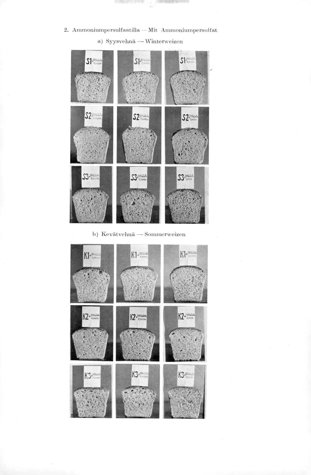 2. Ammoniumpersulfaatilla Mit Ammoniumpersulfat