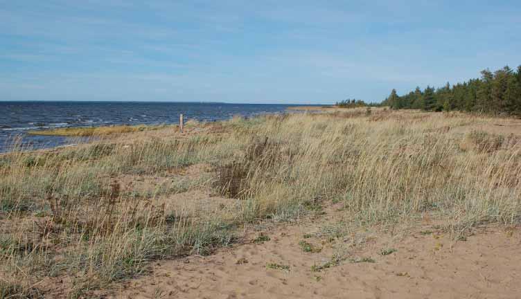 108 Hailuodon liikenneyhteys Hailuoto, Oulunsalo, Ympäristövaikutusten arviointiselostus VAIKUTUKSET MAISEMAAN JA KULTTUURIPERINTÖÖN Koppana, Oulunsalo Havaintopiste sijaitsee leirikeskuksessa, jossa