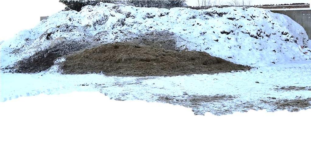 Tilaesimerkki - Seosrehutilan säilörehun hävikit Lypsäviltä lehmiltä syömättä jäänyt seos jaetaan hiehoille, joiden rehussa