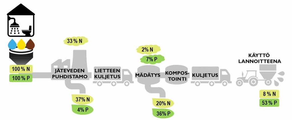 Typpi Puhdistamoille tulevassa jätevedessä typpi esiintyy orgaanisiin aineisiin sitoutuneena (n. 40 %) sekä epäorgaanisena ammoniumtyppenä (n. 60 %) (Henze, et al., 2002).