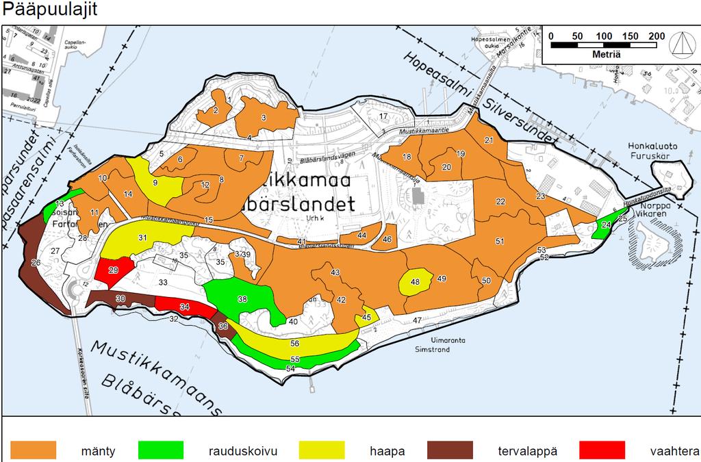 Puulajisuhteet Suunnittelualueen metsäisten kuvioiden pääpuulajeista peräti 3/4-osaa (74 %) on mäntyvaltaisia kuvioita. Männyn jälkeen yleisin pääpuulaji on haapa, jota on pääpuuna 12 prosentilla.