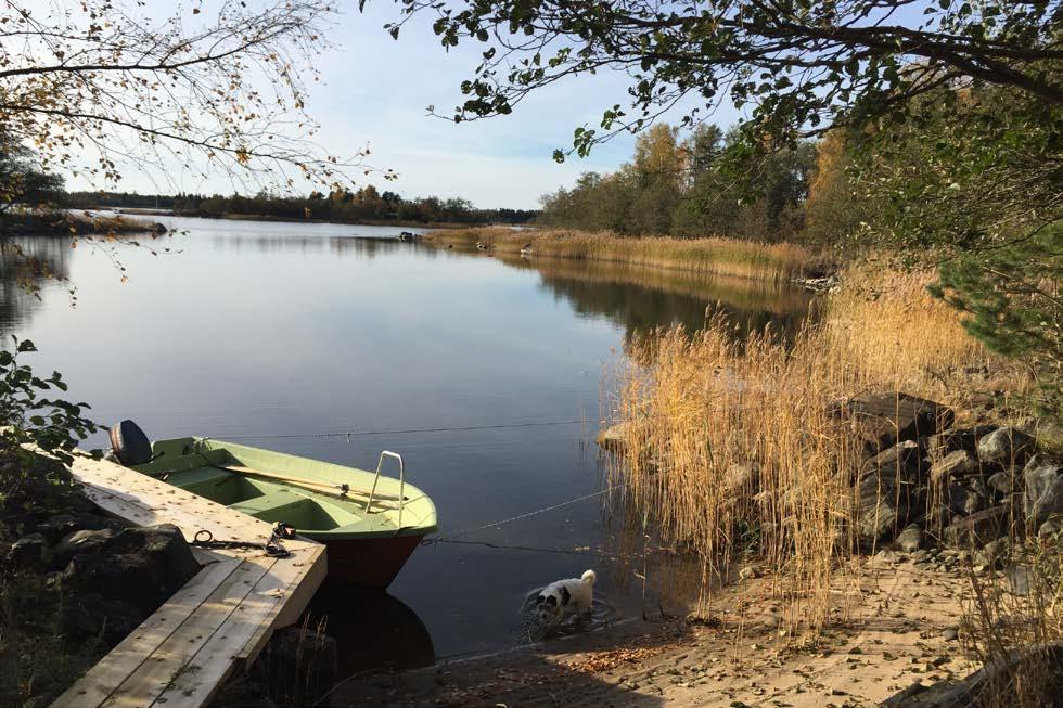 MERIKARVIAN KUNTA MERIKARVIAN RANTAYLEISKAAVAN MUUTOS MALSKERI JA DEMASÖÖRI koskien tiloja Kivikari 484-414-2-122, Halkoplassi 484-414-2-199, Heikkilä 484-414-1-122, Suloranta