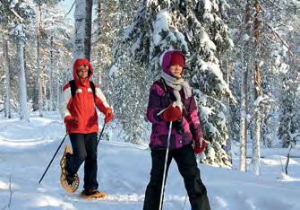 Liite 2. Tervetuloa Pyhä-Luoston reiteille! Pyhä-Luoston kansallispuisto tarjoaa mainiot mahdollisuudet päiväretkeilyyn sekä pieniin vaelluksiin kaikkina vuodenaikoina.