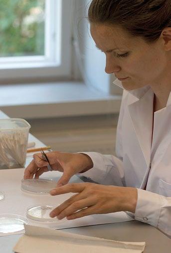 Susanna Lehvävirta asettelee verkkoa koeruudun päälle Tartossa. Kuva Maria Hällfors. Iida Lehtimäki ja Pertti Pehkonen viimeistelevät koeruutua Oulussa leikkaamalla pois ylimääräistä suodatinkangasta.