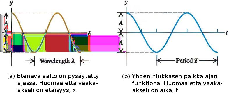 9 Kuvassa (a) on värähtelevä lanka, joka on pysäytetty ajassa (ajattele vaikka että ajan suhteen muuttuvasta systeemistä on otettu valokuva).