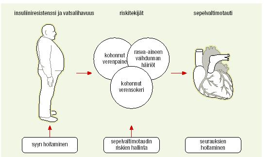 MBO ja T2D hoito on valtimotaudin riskitekijöiden hallintaa 1. Lihavuuden hoito 2.