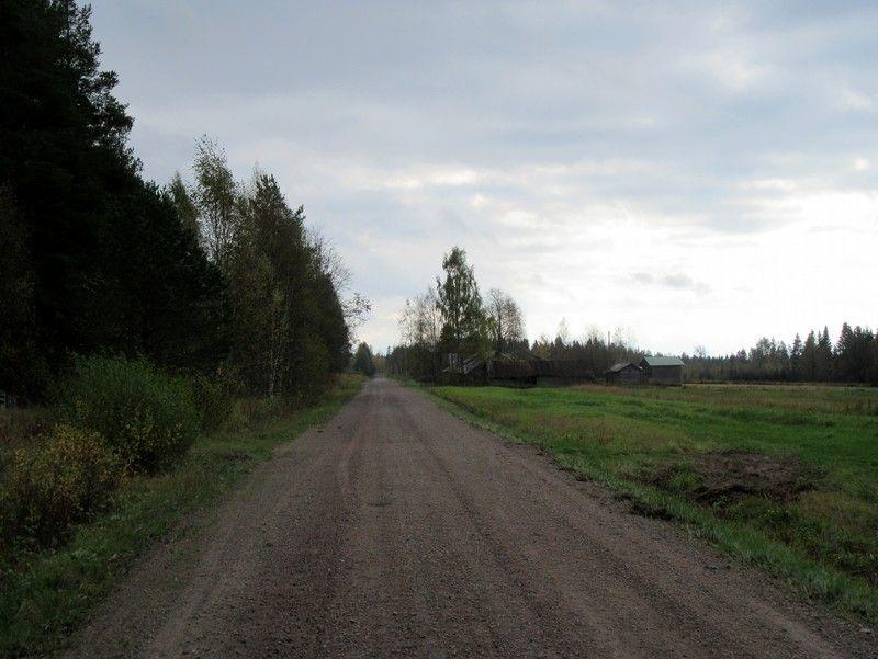 21 Kuva 25 VL. Linjaus 3 / 4 Jukonperän kohdalla, tie 18241. Autiotalojen ryhmä, peltoa, kuvattu etelään. Kuva 26 VL.