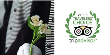 TripAdvisor-sanamerkkiin on ensimmäisellä käyttökerralla liitettävä rekisteröidyn tavaramerkin symboli ( ), myös sosiaalisen median julkaisuissa.