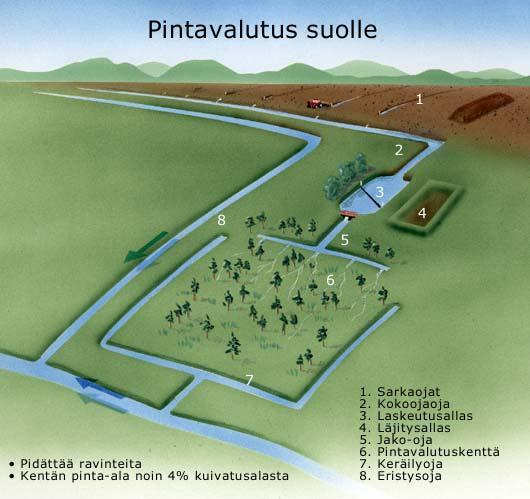 FCG Finnish Consulting Group Oy Ympäristövaikutusten arviointiselostus 12 (76) Kuva 3.3. Pintavalutuskentän periaatekuva (Vapo).