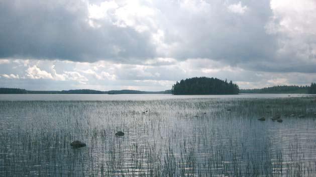 teeseen. Runsashumuksinen järvi voi luonnontilaisenakin kärsiä happikadosta, ja sen syvännelajisto ilmentää eutrofiaa (Crisman ym. 2003, Tolonen ym. 2003). Näin esim.