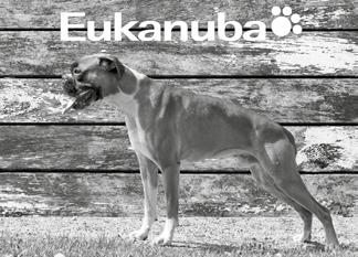 Hard Beat 2 Cocoon s Royal Choice 3 Cocoon s Religion Robert 4 Jewel No Akacisa Nuorten luokka, 15-24kk 1 Bullrunners