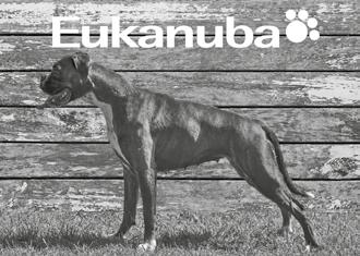 Logos Amoteamo 3 Carrera Maximus Deus 4 Playbox s Panthera Käyttöluokka, 15kk 1 Apfel s Agabus Valioluokka, 15kk 1 Liberum