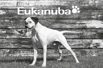 9-18kk 1 Klarissa De La Fincha Sapho 2 Aprilmist Narnia 3 Bestbox Esmeralda Mas Cara 4 Bonebiter s Inari Sushi ROP JUN