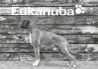 Akacisa 2 Zealbeat s Who Says Booooo 3 Daytona Nostrum 4 Boxs-Snas Queen Of Heart Avoin luokka, 15kk 1 Sulez Showdown 2
