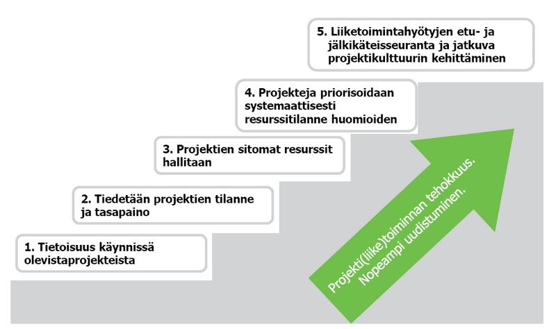 Projektikulttuurin