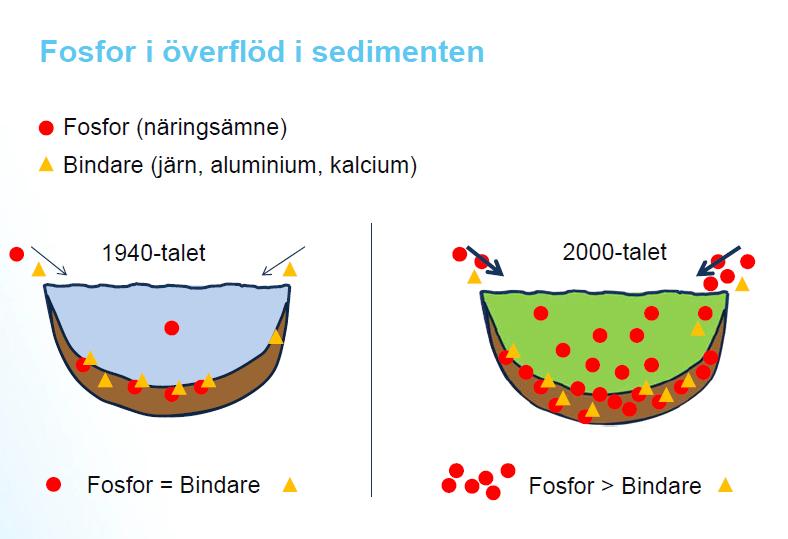 Sedimentin ja veden kemialliset käsittelyt Edellytyksiä/kriteerejä Havaittu fosforipitoisuus suurempi kuin ulkoisesta kuormituksesta laskettu: sisäinen kuormitus ongelma Sedimentissä paljon helposti