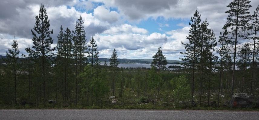 11-32. Näkymä Pahkakummuntieltä asuintalon kohdalta hankealueen yli Kemijärvelle (Sweco, 2016).