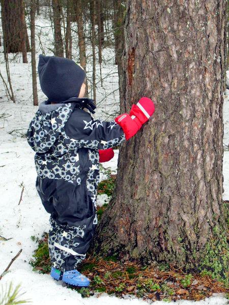 Perhis liikutti lauantai-aamuisin klo 9.30 10.30 Ravilinnasalissa, Ravilinnan ja Peltohiiren päiväkodin sekä Veteraanimajan pihalla yhteensä 13 kertaa.